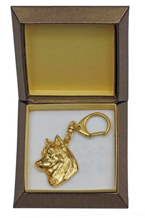 Rodina hrajúca sa so psom husky