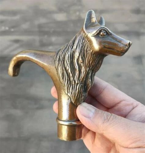 Mohutná hlava moskovského strážneho psa s typickými rysmi