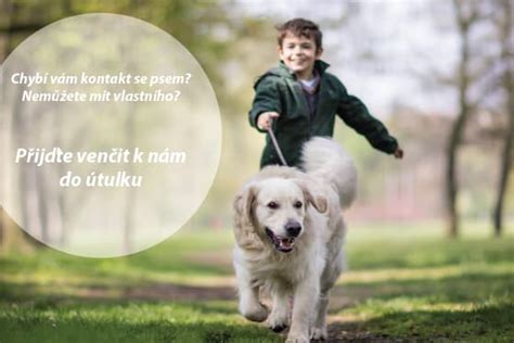 Infografika s pravidlami správania pri venčení psov v útulku