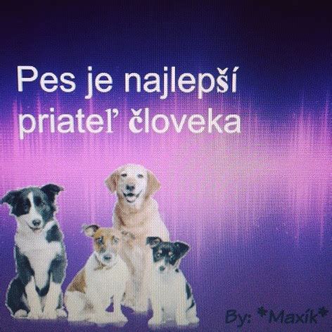 Pes priateľ človeka