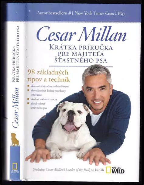 Ilustrácia zodpovednosti majiteľa psa