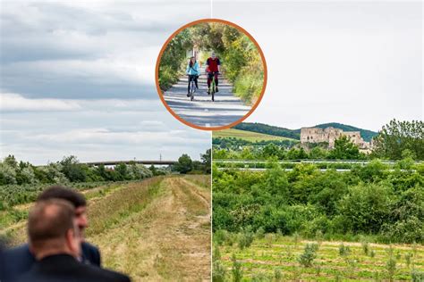 Ilustračné foto mesta s novým psím útulkom