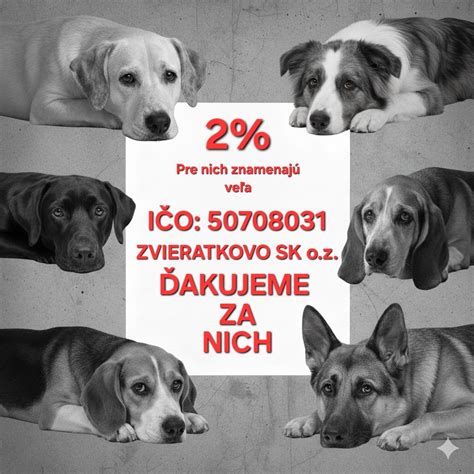 Pes v MHD s náhubkom