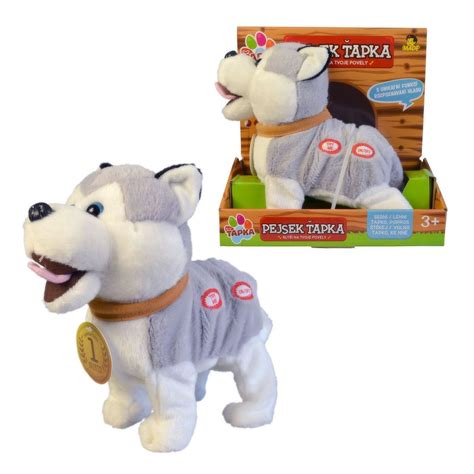 Interaktívny psík v akcii