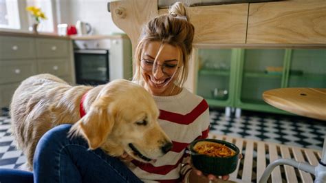 Pes zvažuje misku s jedlom