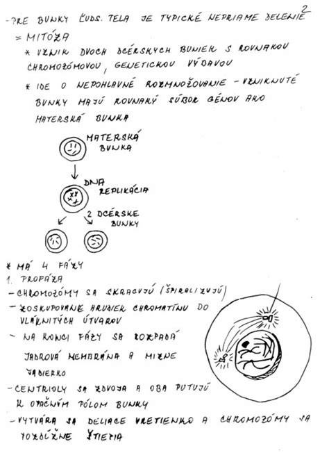 Schéma možných dedičných ochorení pudlov