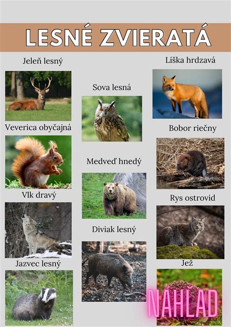 Mula a mulica ako pracovné zvieratá