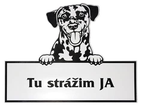Ilustrácia tréningu psa s majiteľom