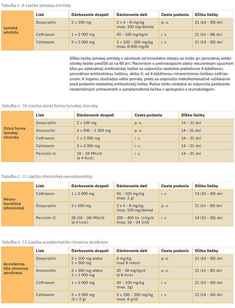 Ilustrácia liečby psa antibiotikami