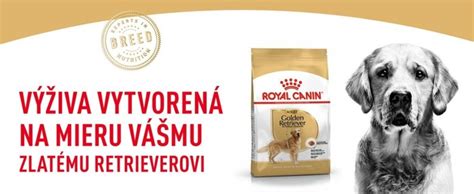 Výber krmiva pre zlatého retrievera