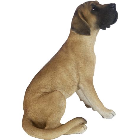 Ilustrácia nemeckej dogy