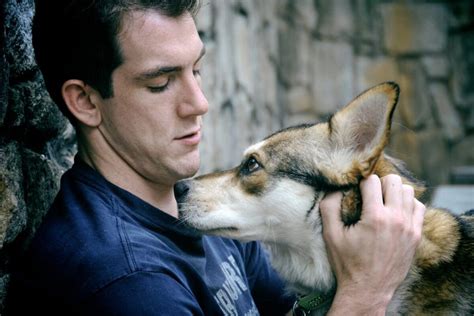 Pes hladkajúci človeka