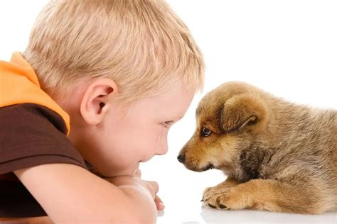 Ilustrácia detí pomáhajúcich zvieratám