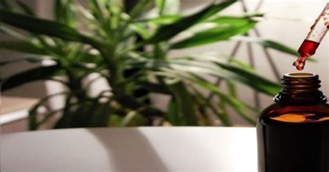 Ilustrácia rizika nadmerného príjmu vitamínu A