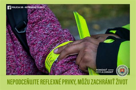 Osvetlenie a reflexné prvky pre psa v tme