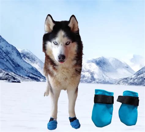 Ukážka rôznych reflexných doplnkov pre psov