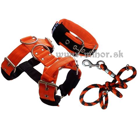 Obojok a vodítko pre šteňa