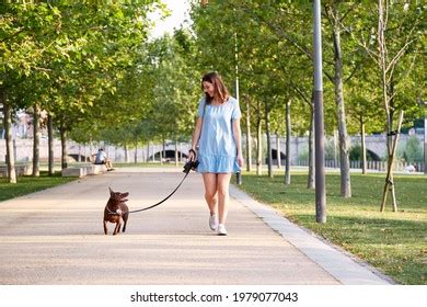 Pes s majiteľom na prechádzke v parku