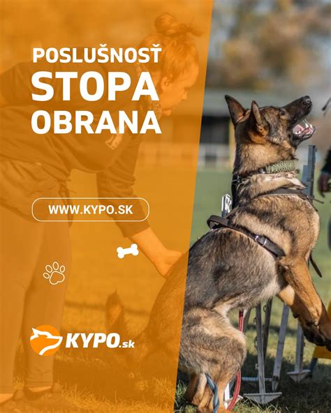 Pes prekonávajúci prekážku