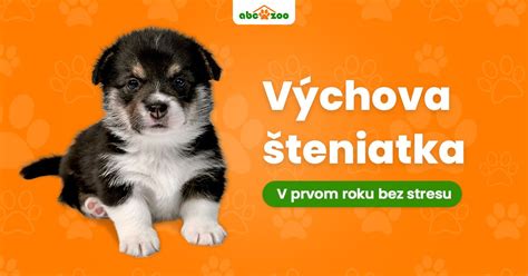 príprava domova pre šteniatko