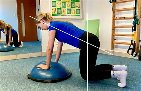 Pes na rehabilitačnom cvičení s fyzioterapeutom