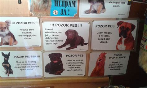 Ilustrácia rôznych typov tabuliek