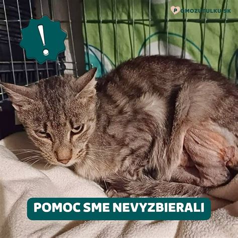 Fotografia ružomberského útulku pre ľudí bez domova