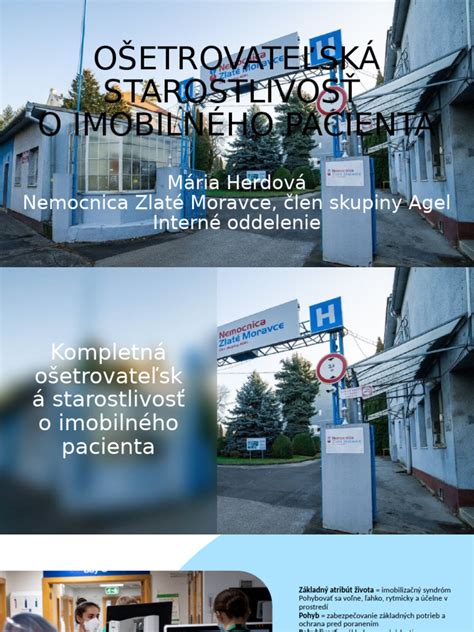 Ošetrovateľská starostlivosť o psa po kastrácii