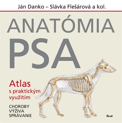 Anatómia chrbtice psa