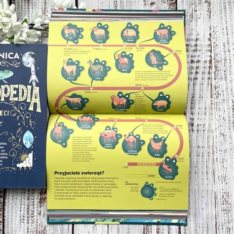 Infografika rôznych spánkových polôh psov