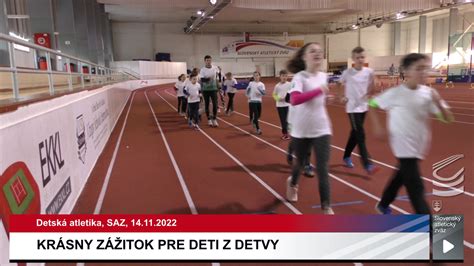 Pes s viditeľnou bolesťou pri pohybe