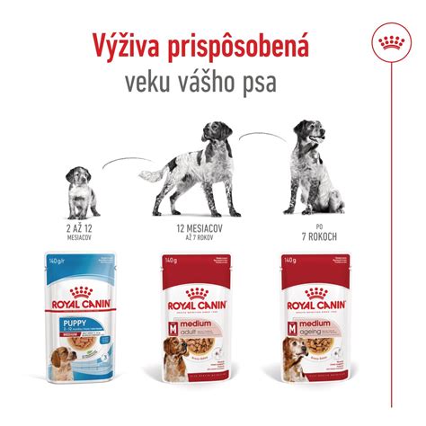 Kvalitné krmivo pre šteniatka