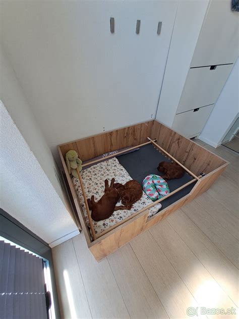 Pripravený pôrodný box pre sučku