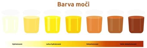 Rôzne farby psích zvratkov a ich možné príčiny