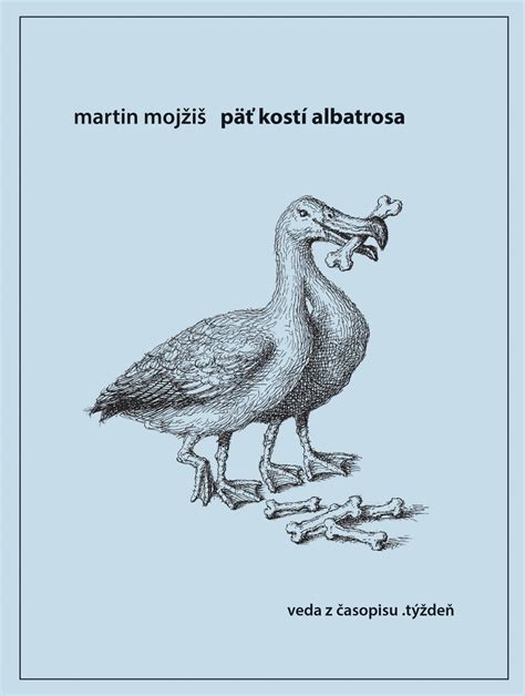Ilustrácia kostí na prípravu vývaru
