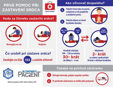 Prvá pomoc pri uhryznutí psom