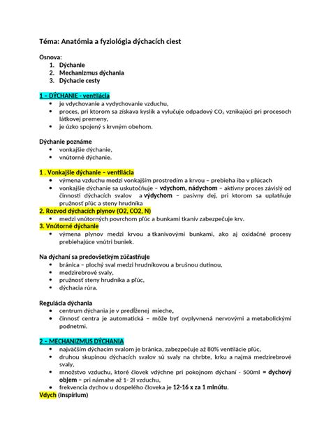 Schéma dýchacích ciest s vyznačením podráždenia