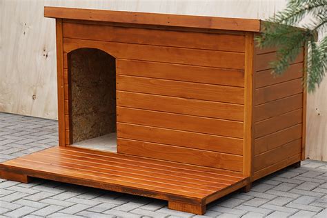 Psia búda pre veľké plemená