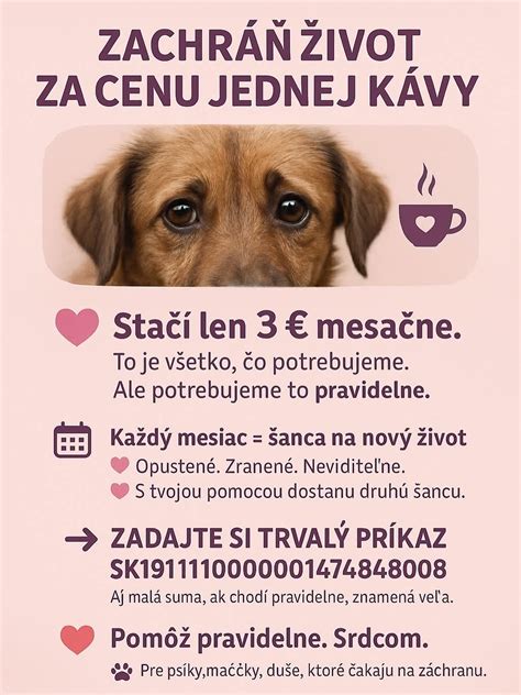 Psík Chilli čaká na domov