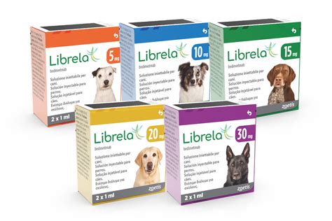 Ilustrácia injekcie Librela