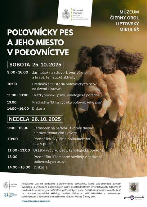 Infografika: História maďarského chrta a jeho významnosť v poľovníctve