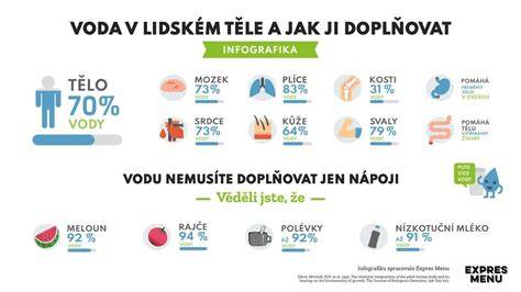 Infografika: Tvorba a význam psov v starových kultúrach