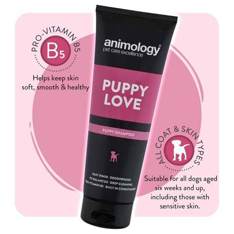Infografika: Šampón Animology Puppy Love pre šteňatá - kľúčové vlastnosti (nízka pena, pH vyvážené, kondicionér, vitamín B5)