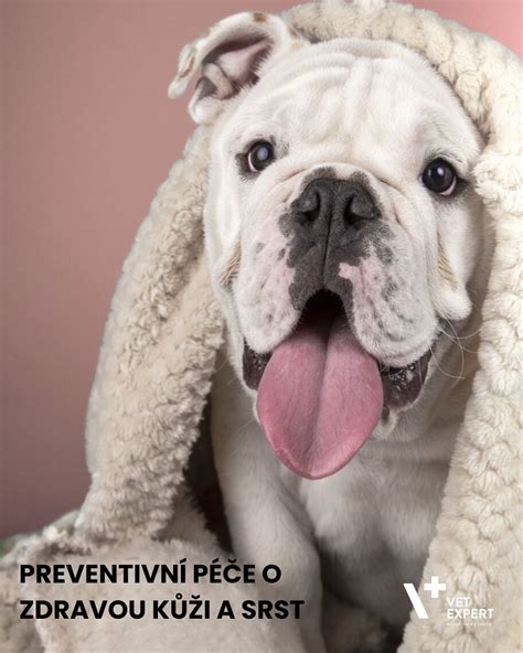 Péče o kůži peruánskeho naháča