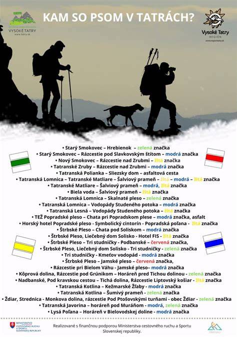 Ilustrácia nočného pátrania so psom