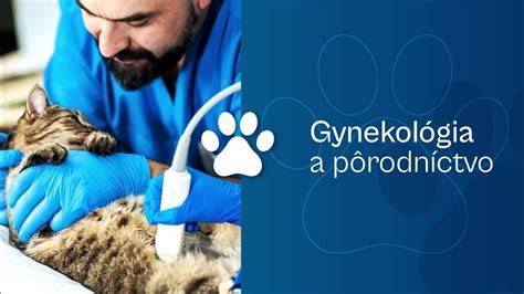 Veterinárny tím MVDr. - nočná pohotovosť a rýchla pomoc