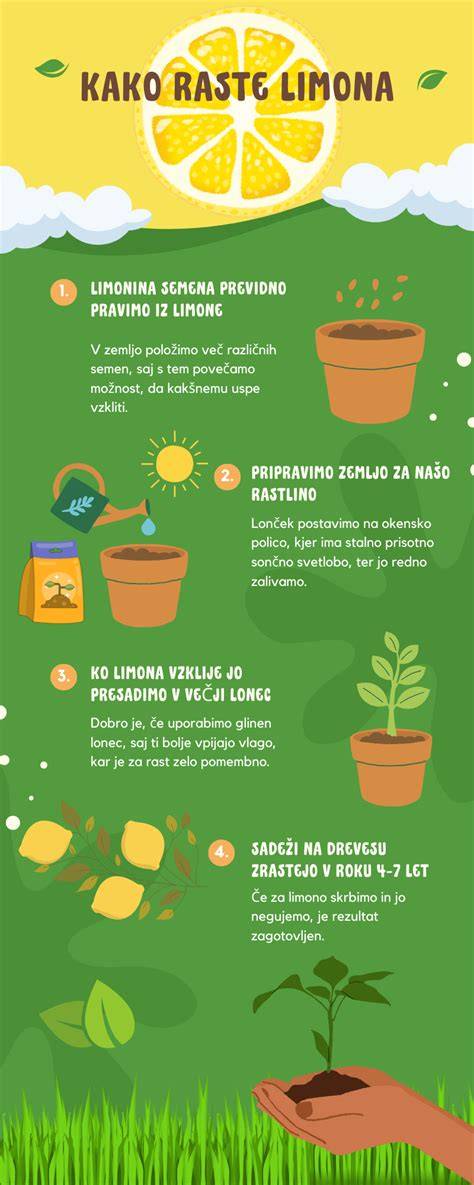 Infografika o raste šteniat a dôležitosti kĺbovej výživy