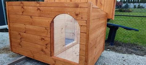 Umiestnenie psej búdy v záhrade