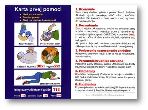 Infografika: Základy prvej pomoci pri ranách u psa