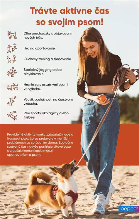 Infografika: Ako vzniká priateľstvo medzi dieťaťom a psom na pláži